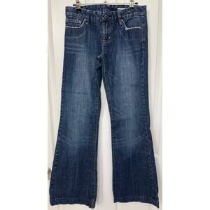 David Bitton Buffalo Jeans Beauty DK Denim Flare jeans size 28 Mid Rise